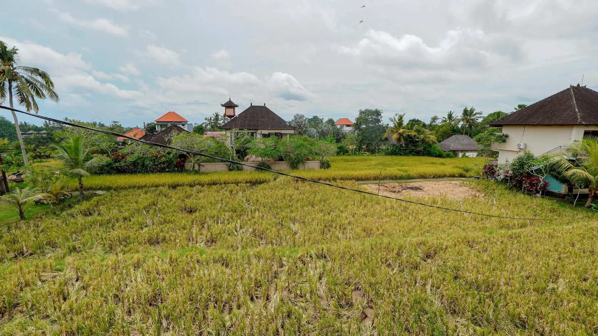 Cahaya Guest House Ubud Indonesien